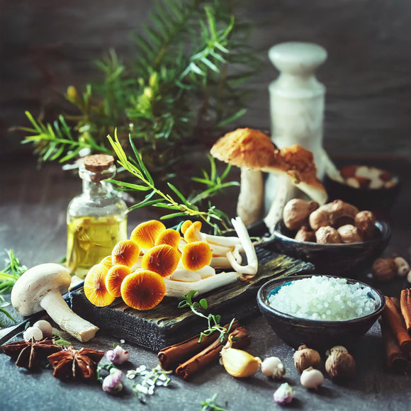 Unlocking Nature's Pharmacy: A Guide to Medicinal Mushrooms