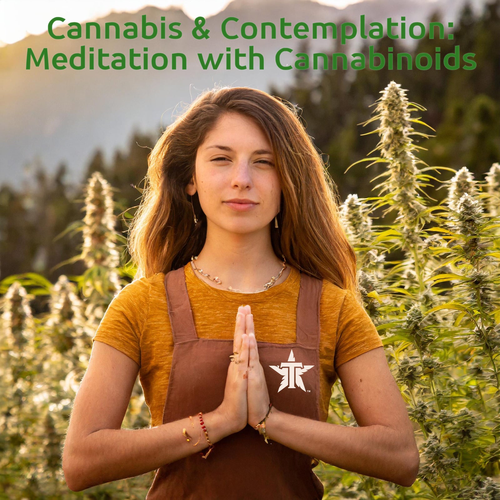 Cannabis and Contemplation: Enhancing Meditation with the Power of Cannabinoids